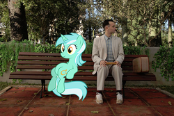 Size: 500x333 | Tagged: safe, lyra heartstrings, human, g4, crossover, forrest gump, meme, sitting, sitting lyra, song in the comments, tom hanks