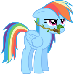 Size: 900x895 | Tagged: safe, artist:presstoshoot, rainbow dash, g4, bridle, female, simple background, solo, transparent background, vector