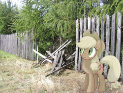 Size: 2048x1536 | Tagged: safe, artist:claritea, artist:missbeigepony, applejack, earth pony, pony, g4, broken, discorded, fence, irl, liar face, liarjack, photo, ponies in real life, reference, scrunchy face, silly, silly pony, solo, tree, vector, who's a silly pony