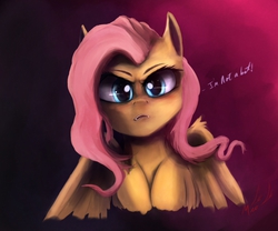 Size: 1200x1000 | Tagged: safe, artist:miokomata, fluttershy, g4, angry, fangs, female, frown, glare, looking at you, solo