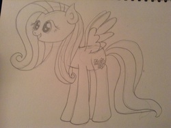 Size: 2592x1936 | Tagged: artist needed, safe, fluttershy, g4, female, monochrome, show accurate, solo, traditional art