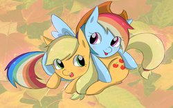 Size: 1024x637 | Tagged: safe, artist:begomiku, applejack, rainbow dash, g4, accessory swap, female, lesbian, ship:appledash, shipping