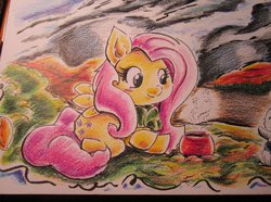 Size: 1024x760 | Tagged: safe, artist:milkcannon, fluttershy, g4, outdoors, traditional art