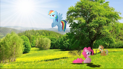 Size: 1920x1080 | Tagged: safe, applejack, pinkie pie, rainbow dash, earth pony, pegasus, pony, g4, flying, irl, photo, ponies in real life, scenery, smiling, standing, tree, wallpaper