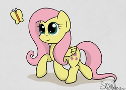 Size: 1400x1000 | Tagged: safe, artist:sheandog, fluttershy, g4, female, solo