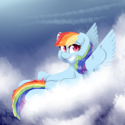 Size: 1024x1024 | Tagged: safe, artist:wlemin, rainbow dash, g4, cloud, cloudy, female, grin, lying, on back, solo