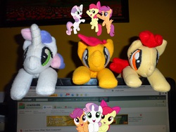 Size: 4320x3240 | Tagged: safe, artist:crackle486, apple bloom, scootaloo, sweetie belle, g4, cutie mark crusaders, irl, photo, plushie