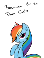 Size: 480x640 | Tagged: artist needed, safe, rainbow dash, pegasus, pony, g4, alternate hairstyle, bedroom eyes, bipedal, chest fluff, cute, dashabetes, ear fluff, fact, female, fluffy, lidded eyes, looking at you, mare, messy mane, simple background, solo, text, transparent background, truth