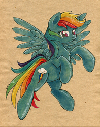 Size: 700x890 | Tagged: safe, artist:maytee, rainbow dash, g4, female, simple background, solo