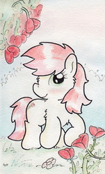 Size: 673x1111 | Tagged: safe, artist:slightlyshade, roseluck, earth pony, pony, g4, blushing, female, flower, mare, rose, solo, traditional art