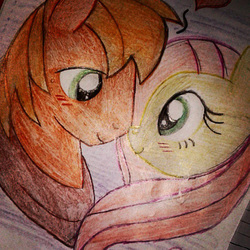 Size: 640x640 | Tagged: safe, artist:hollie-cricket, big macintosh, fluttershy, earth pony, pony, g4, male, ship:fluttermac, shipping, stallion, straight, traditional art