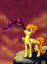 Size: 841x1145 | Tagged: safe, artist:djpone-3, spitfire, g4, cliff, female, flag, glasses, solo