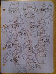 Size: 3096x4128 | Tagged: safe, artist:sigmanas, oc, oc only, original species, plane pony, pony, expressions, plane, solo, tu-95, щщоки