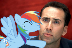 Size: 1941x1300 | Tagged: safe, rainbow dash, g4, female, kissing, male, nicolas cage, shipping, straight