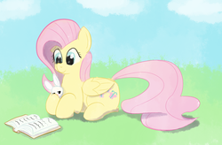 Size: 1089x713 | Tagged: safe, artist:tanmansmantan, angel bunny, fluttershy, pegasus, pony, g4, book, female, reading, solo