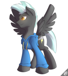 Size: 1800x2013 | Tagged: safe, artist:capseys, thunderlane, pegasus, pony, g4, clothes, cute, hoodie, male, simple background, smiling, solo, spread wings, stallion, thunderbetes, transparent background
