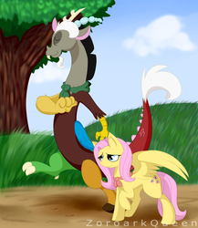 Size: 2000x2300 | Tagged: safe, artist:zoroarkqueen, discord, fluttershy, g4, high res