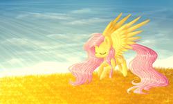 Size: 2500x1500 | Tagged: safe, artist:aurora, fluttershy, g4, female, solo