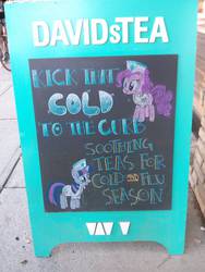 Size: 2448x3264 | Tagged: safe, pinkie pie, twilight sparkle, g4, high res, sign