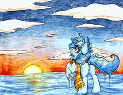 Size: 2176x1686 | Tagged: safe, artist:php166, oc, oc only, oc:freckles, earth pony, pony, cloud, cloudy, female, horizon, mare, ocean, sky, sunset, water