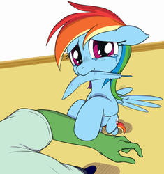 Size: 782x831 | Tagged: safe, artist:stoic5, rainbow dash, oc, oc:anon, human, pony, g4, bipedal, bipedal leaning, crying, cute, dashabetes, feather, feels, floppy ears, looking at you, mouth hold, offscreen character, pov, smiling, wavy mouth