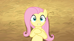 Size: 1280x720 | Tagged: safe, screencap, fluttershy, pony, g4, the last roundup, female, out of context, solo, wide eyes