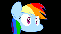 Size: 1111x625 | Tagged: safe, artist:welcometoplok, rainbow dash, pegasus, pony, g4, :<, animated, black background, blinking, eye shimmer, female, gif, head, looking at something, simple background, solo, stare, three quarter view, zoom