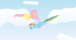 Size: 4500x2352 | Tagged: safe, artist:iscord, fluttershy, rainbow dash, g4, sky