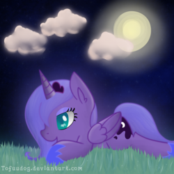 Size: 3000x3000 | Tagged: safe, artist:tofuudog, princess luna, g4, cloud, cloudy, female, field, filly, grass field, high res, moon, moonlight, night, solo, woona