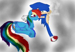 Size: 502x350 | Tagged: safe, artist:evabronyloveart, rainbow dash, pony, g4, crossover, crossover shipping, male, shipping, sonic the hedgehog, sonic the hedgehog (series), sonicdash