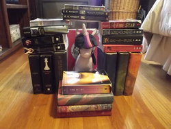 Size: 600x450 | Tagged: safe, artist:jasper-and-company, twilight sparkle, g4, book, book fort, eragon, harry potter (series), irl, photo, photography, plushie, solo, twilight (series)