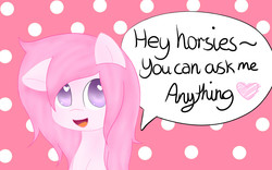 Size: 1280x800 | Tagged: safe, oc, oc only, oc:small horse, ask, blog, pink, toripony, tumblr