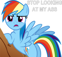 Size: 1598x1457 | Tagged: safe, artist:leapingriver, derpibooru exclusive, rainbow dash, g4, annoyed, butt, caption, female, plot, rainbutt dash, rock, simple background, solo, transparent background, vector