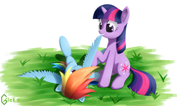 Size: 4000x2400 | Tagged: safe, artist:galekz, rainbow dash, twilight sparkle, pegasus, pony, unicorn, g4, cute, ear fluff, female, grin, lesbian, on back, preening, raised hoof, ship:twidash, shipping, sitting, smiling, spread legs, spread wings, unicorn twilight