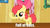 Size: 895x504 | Tagged: safe, apple bloom, g4, female, image macro, meme, sassle bloom, sassy, solo