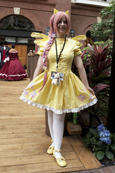 Size: 531x800 | Tagged: safe, fluttershy, human, g4, cosplay, irl, irl human, photo
