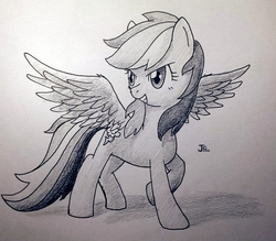 Size: 1836x1607 | Tagged: safe, artist:yo-yall, rainbow dash, g4, female, monochrome, pencil drawing, solo, traditional art