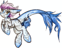 Size: 1368x1048 | Tagged: safe, artist:php166, oc, oc only, hybrid, original species, shark, shark pony, art trade, female, mare