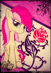 Size: 1398x1990 | Tagged: safe, artist:canvymamamoo, roseluck, earth pony, pony, g4, female, mare, sitting, solo