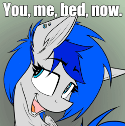 Size: 400x401 | Tagged: safe, artist:ralek, oc, oc only, oc:sapphire sights, pegasus, pony, fallout equestria, animated, bed, bedroom eyes, caption, cute, eyebrow wiggle, eyebrows, female, gif, implied sex, mare, open mouth, portrait, solo, you. me. x. now.