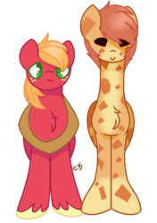 Size: 585x829 | Tagged: safe, artist:xxgoreprincessxx, big macintosh, oc, oc:acacias zarafu, earth pony, giraffe, pony, g4, brown eyes, chest fluff, collar, green eyes, long legs, long neck, looking at you, male, size comparison, smiling, stallion