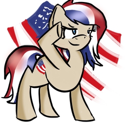 Size: 500x500 | Tagged: safe, artist:sketchynix, oc, oc only, oc:glory bell, nation ponies, solo, united states