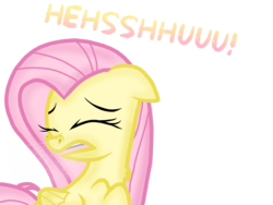 Size: 2048x1536 | Tagged: safe, artist:proponypal, fluttershy, g4, chest fluff, nostril flare, sneezing, sneezing fetish, spray