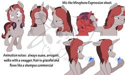 Size: 900x540 | Tagged: safe, artist:pikapetey, oc, oc only, oc:mic the microphone, mic the microphone, model sheets