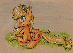 Size: 869x636 | Tagged: safe, artist:theorderofalisikus, applejack, g4, female, flower, solo, traditional art