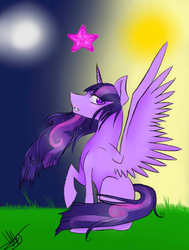 Size: 413x547 | Tagged: safe, artist:ponyfanatic5512, twilight sparkle, alicorn, pony, g4, female, mare, solo, twilight sparkle (alicorn)