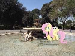 Size: 4288x3216 | Tagged: safe, artist:mewtwo-ex, artist:missbeigepony, angel bunny, fluttershy, human, pegasus, pony, rabbit, g4, female, flying, fountain, irl, irl human, mare, photo, ponies in real life, shadow, tree, vector, water
