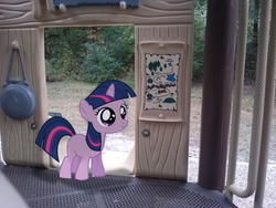 Size: 2592x1944 | Tagged: safe, artist:midnight--blitz, artist:tokkazutara1164, twilight sparkle, g4, female, filly, filly twilight sparkle, irl, photo, ponies in real life, shadow, solo, treasure map, tree, vector