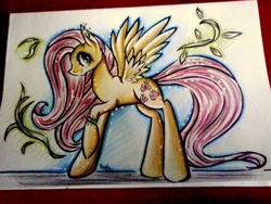 Size: 2048x1536 | Tagged: safe, artist:julunis14, fluttershy, g4, female, solo, traditional art