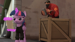 Size: 1366x768 | Tagged: safe, artist:fezwearingdoctor, twilight sparkle, alicorn, pony, g4, 3d, female, gmod, mare, scroll, soldier, soldier (tf2), team fortress 2, twilight sparkle (alicorn), watch dogs